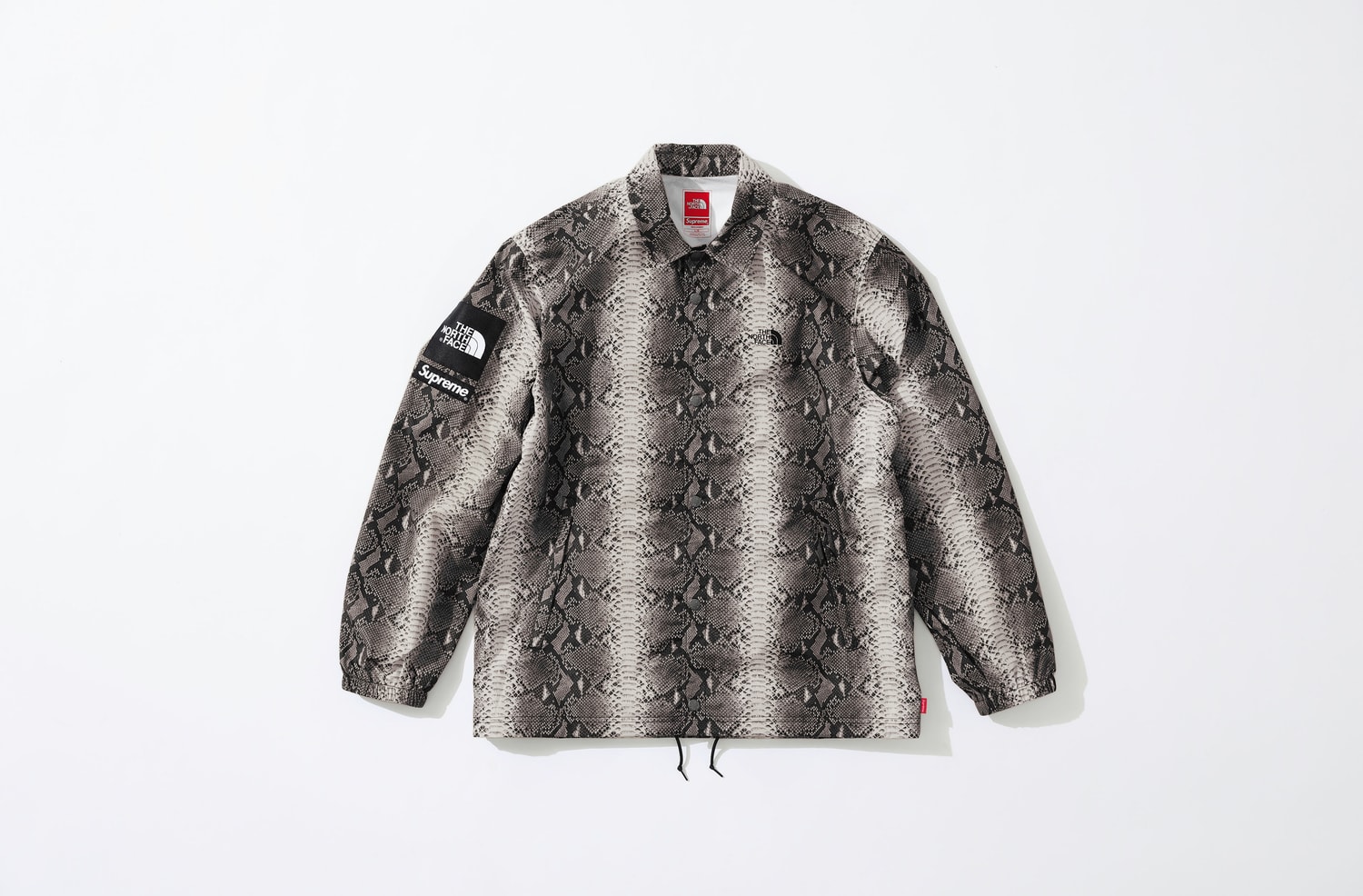 Photo Supreme x The North Face