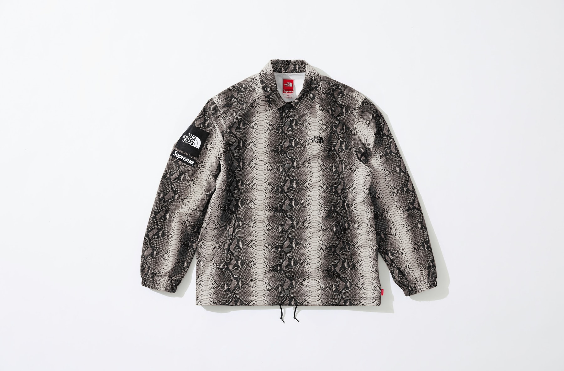 Photo Supreme x The North Face