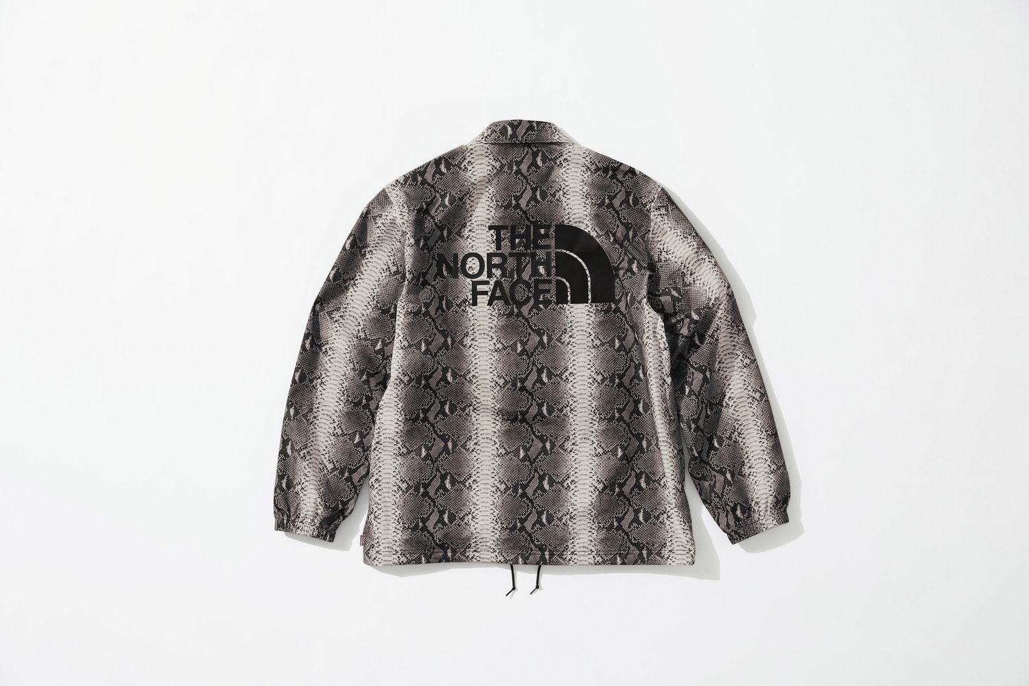 Photo Supreme x The North Face