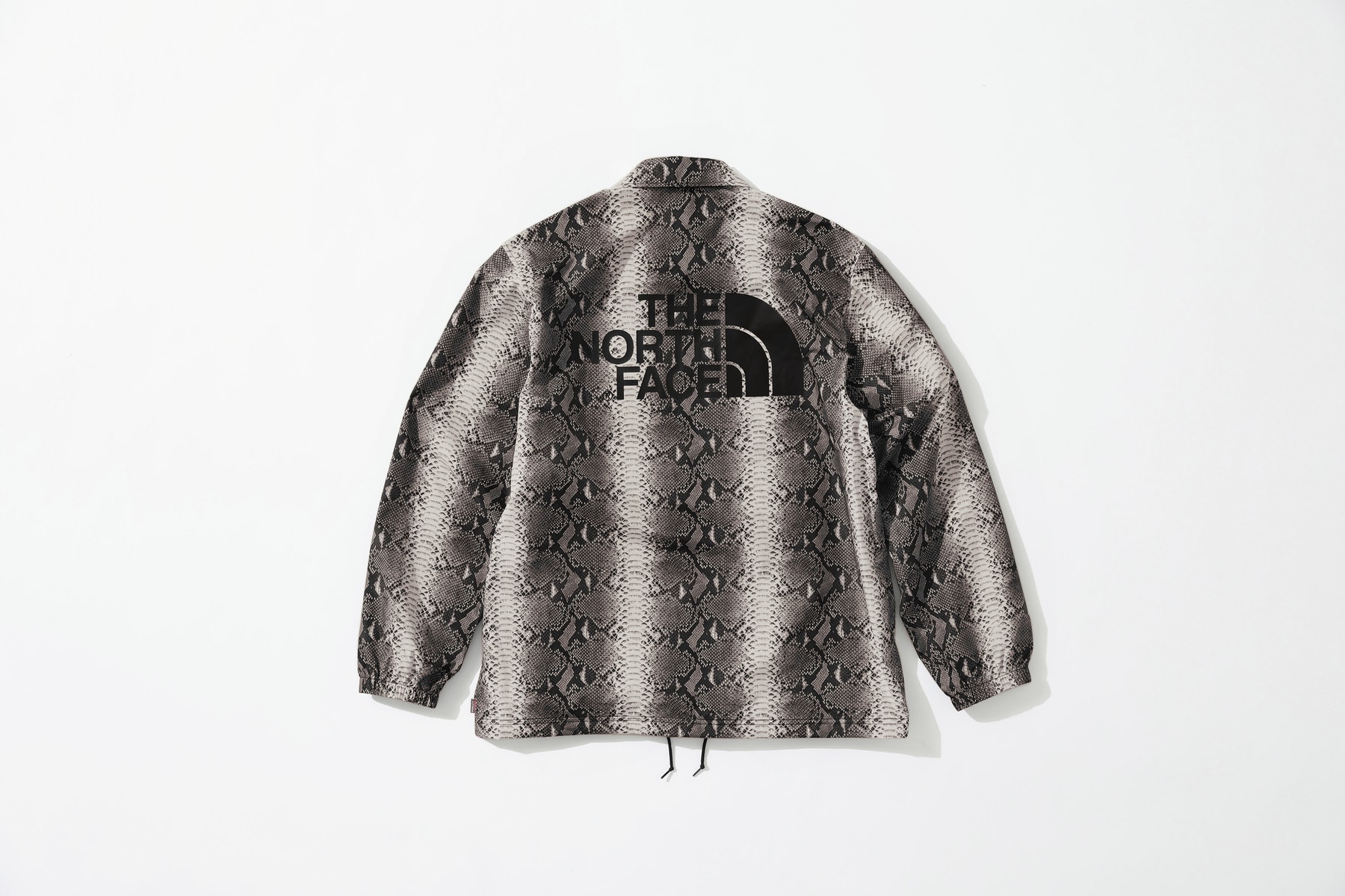 Photo Supreme x The North Face