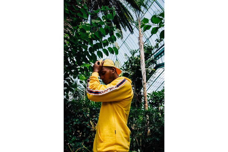 Tealer Tape Collection 2018
