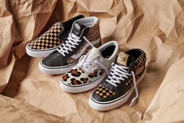 Pack Animal Vans