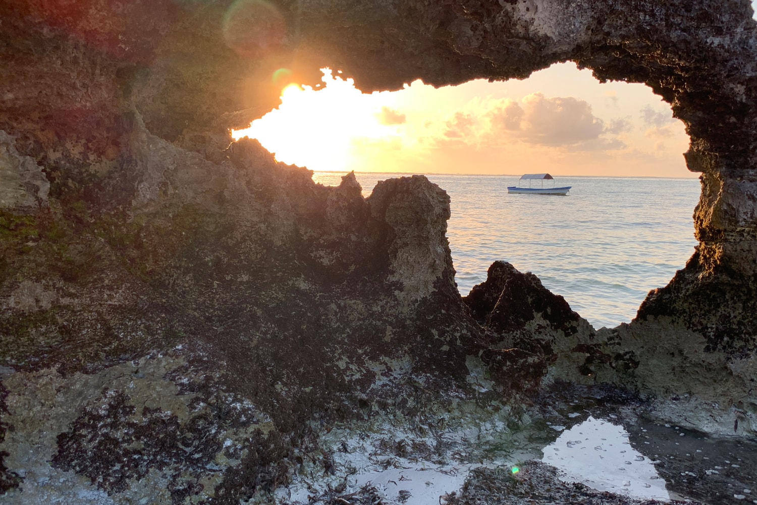 Photos De L'iPhone Xs