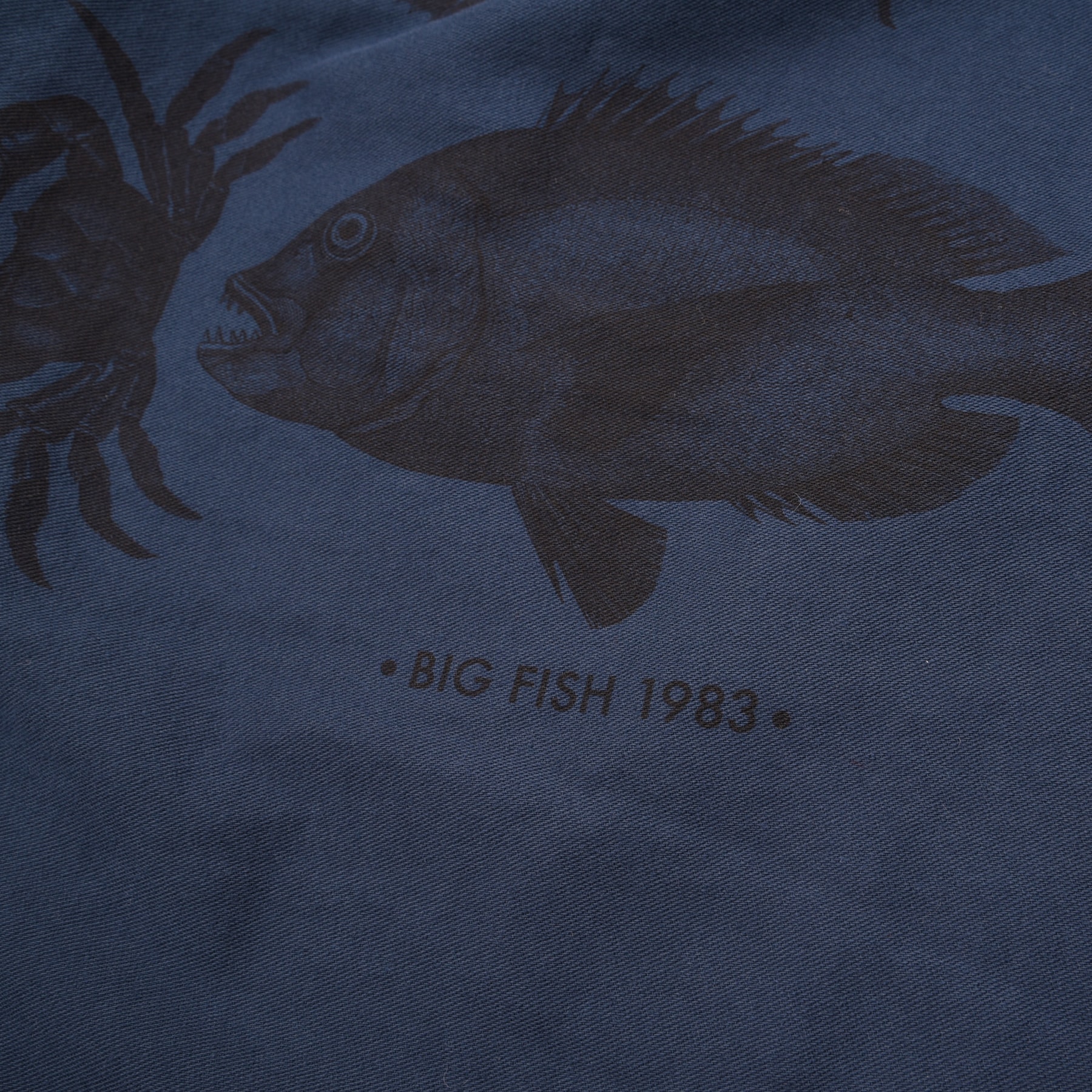 Photo Bleu de Paname x Big Fish 1983