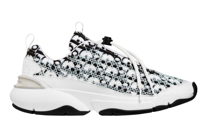 Photos De La Collection "Oblique" De Dior Par Kim Jones