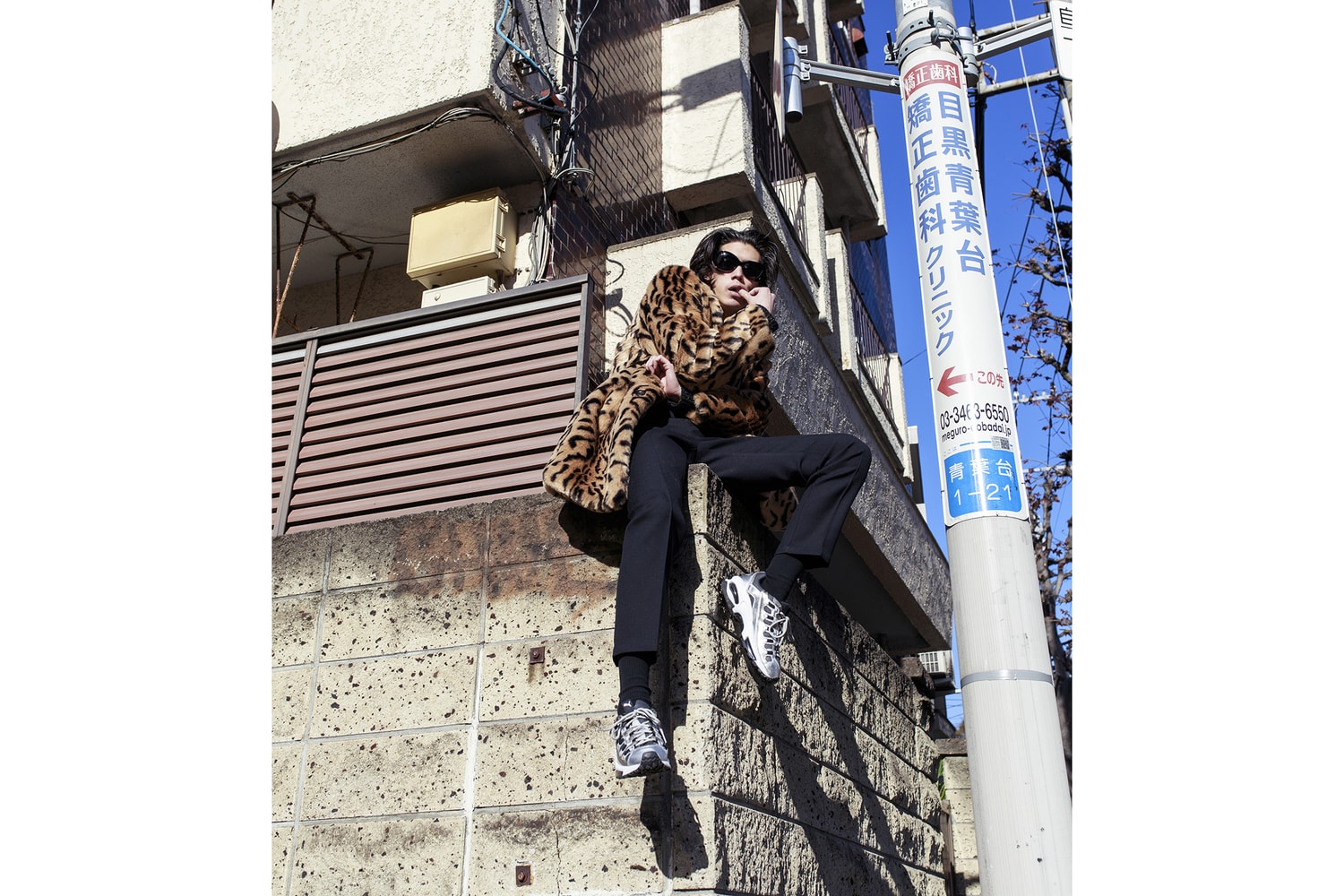 PUMA CELL Endura BLENDS
