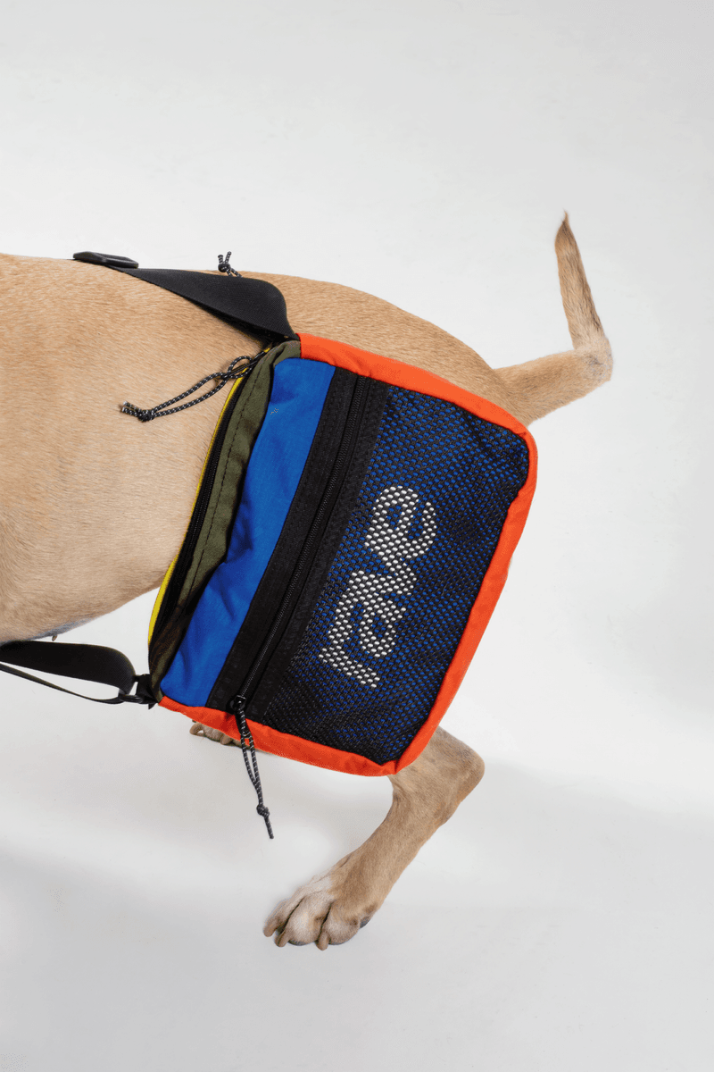 Rave Skateboards Collection Spring 2019 Lookbook