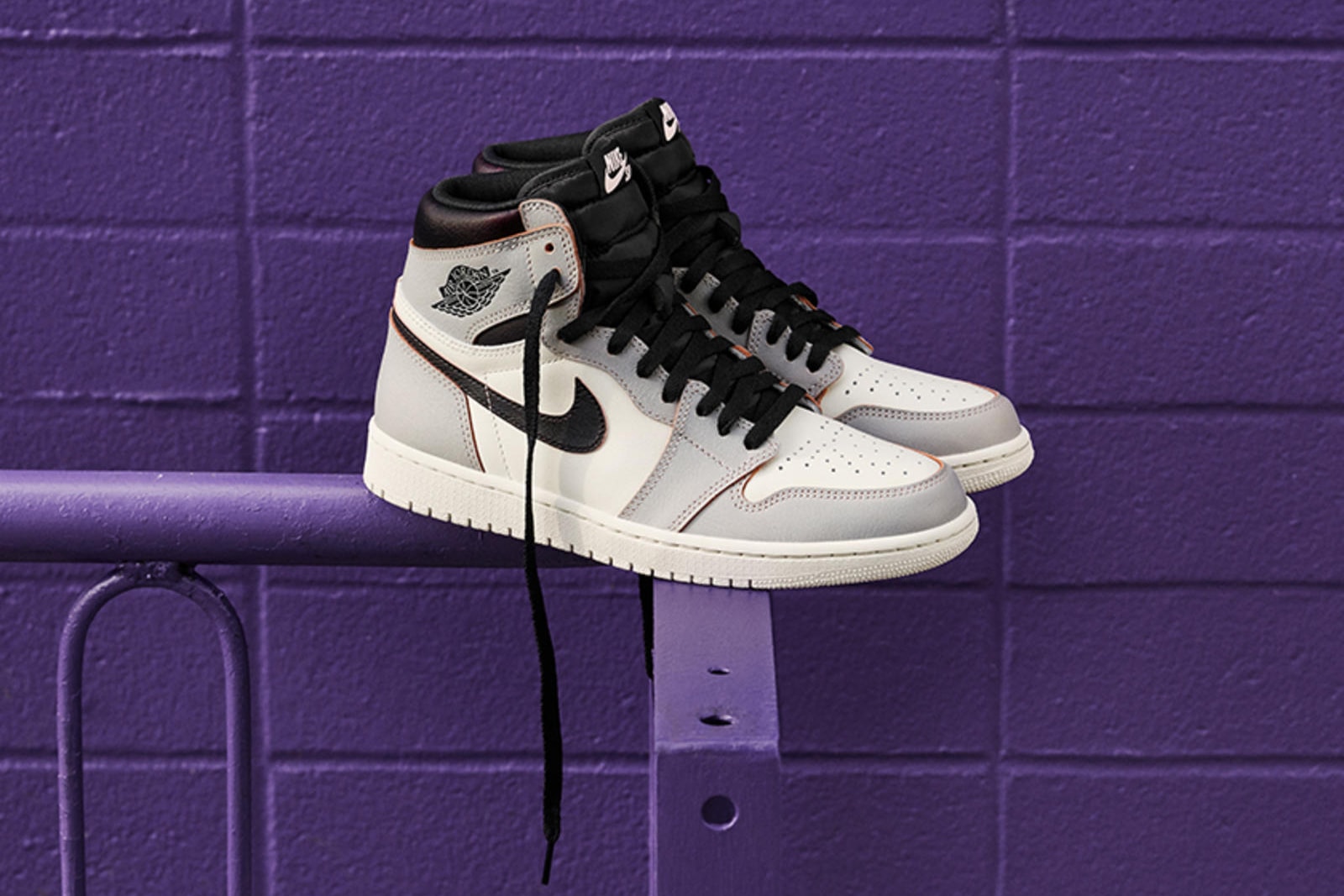 Air Jordan 1 Nike SB Photos Sortie