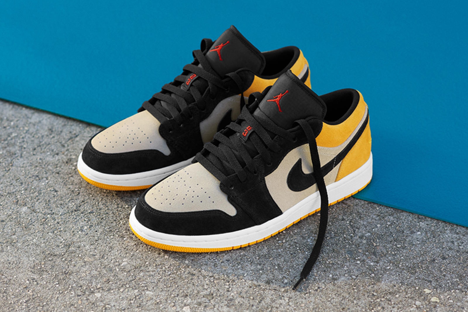 Air Jordan 1 Nike SB Photos Sortie