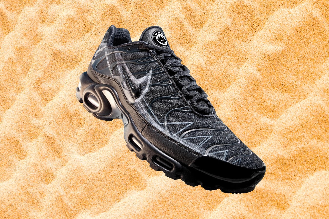 Photo De Nike Air Max "Requin"