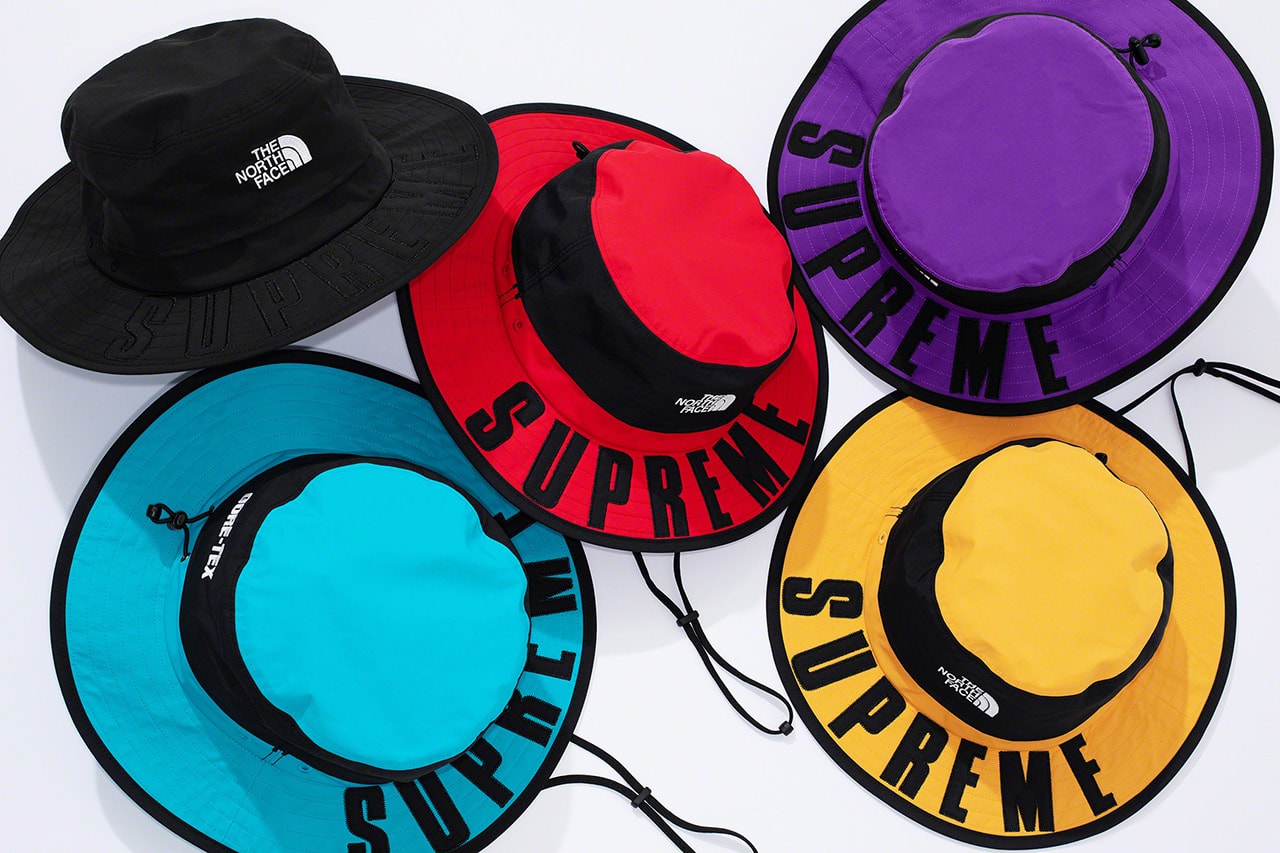 Photo de Supreme x The North Face