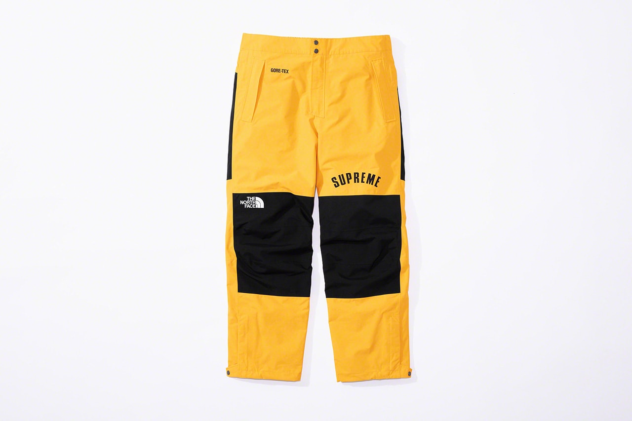 Photo de Supreme x The North Face