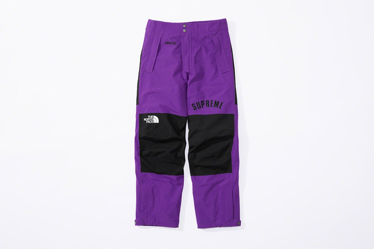 Photo de Supreme x The North Face