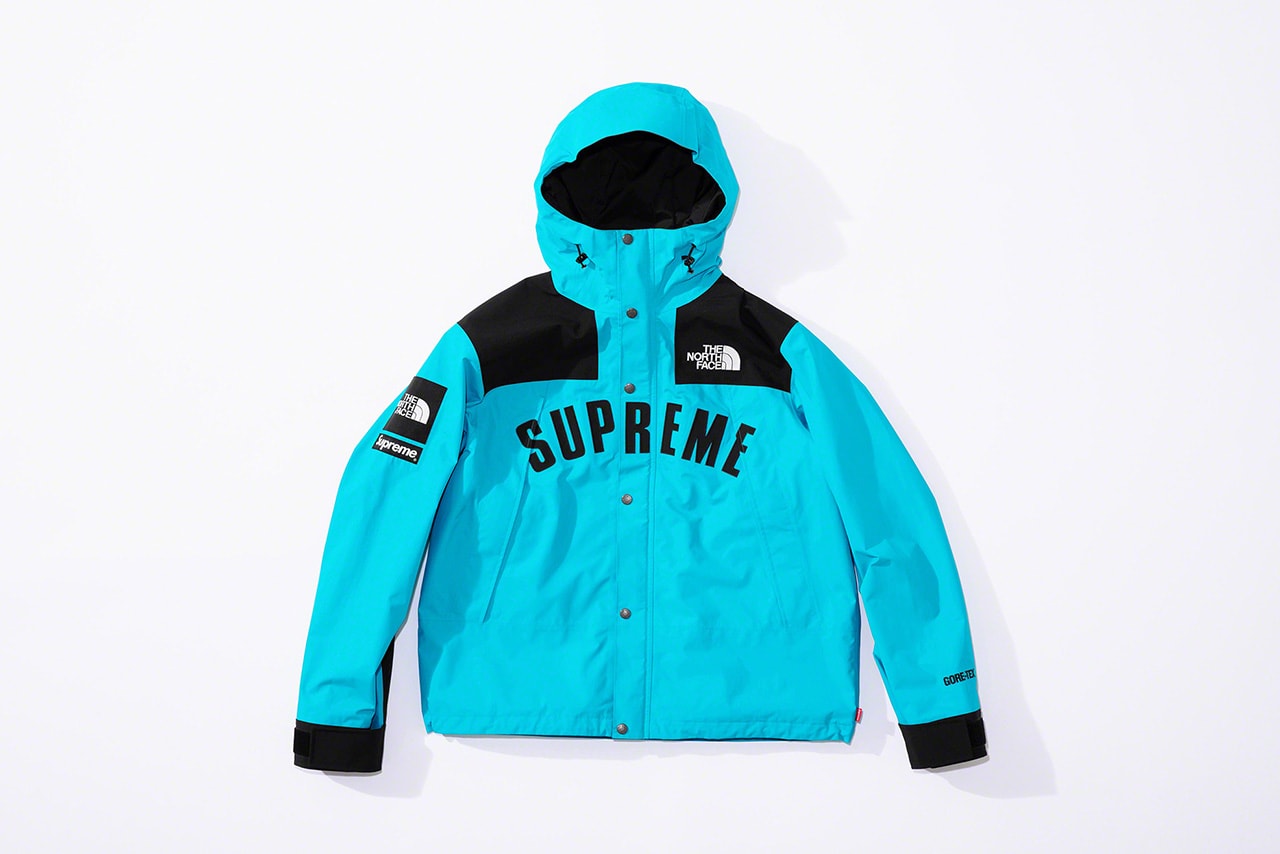 Photo de Supreme x The North Face