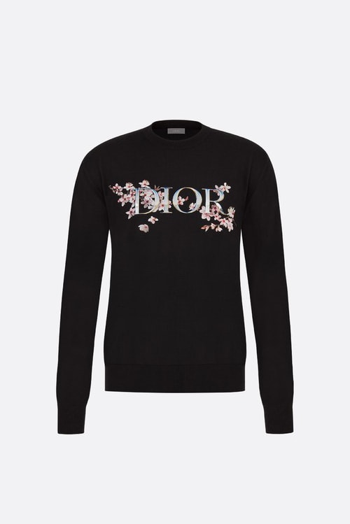 Dior collection Sorayama pre fall 2019 drop