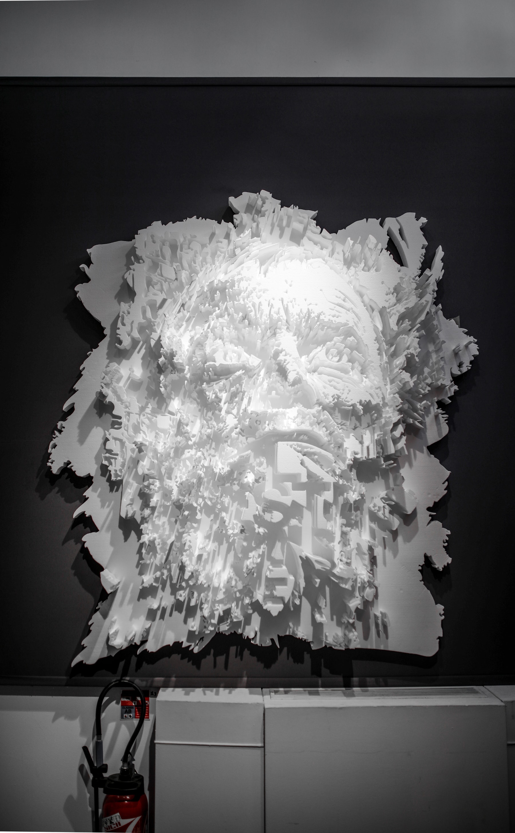 Photo exposition Artcurial Supreme KAWS