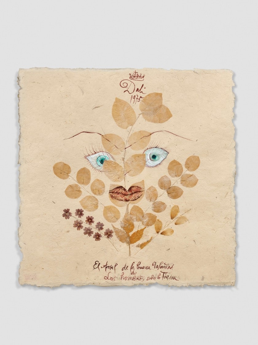 Photo des œuvres de Salvador Dali