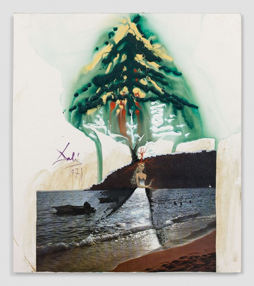 Photo des œuvres de Salvador Dali
