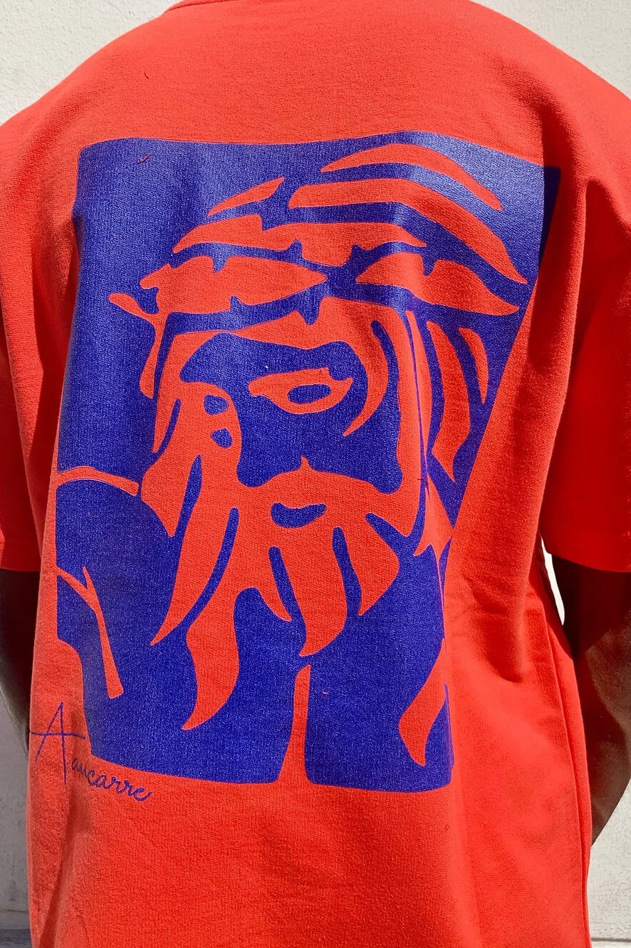 AAUCARRE t-shirt drop photos