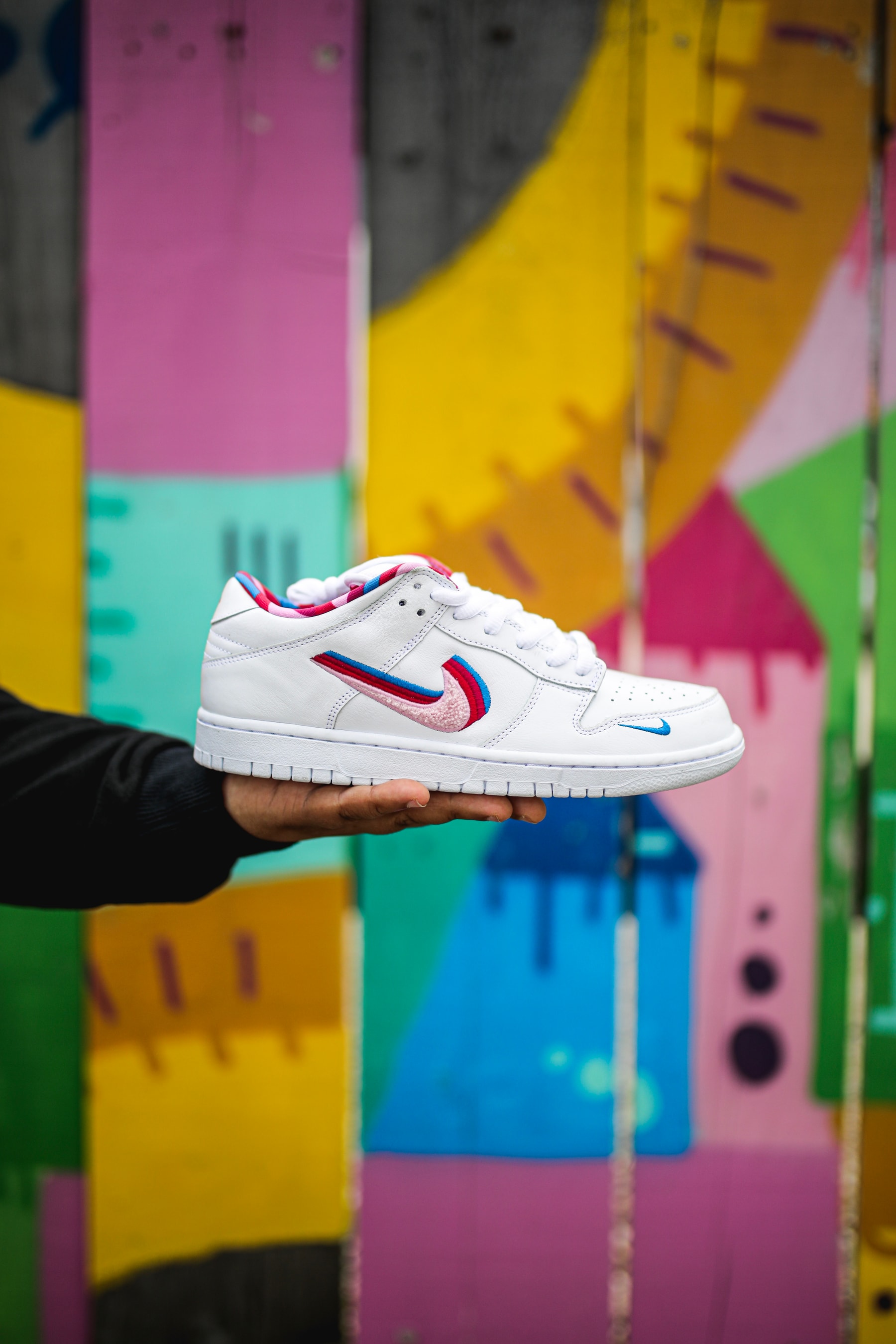 Photo Nike x Parra SB Dunk Low