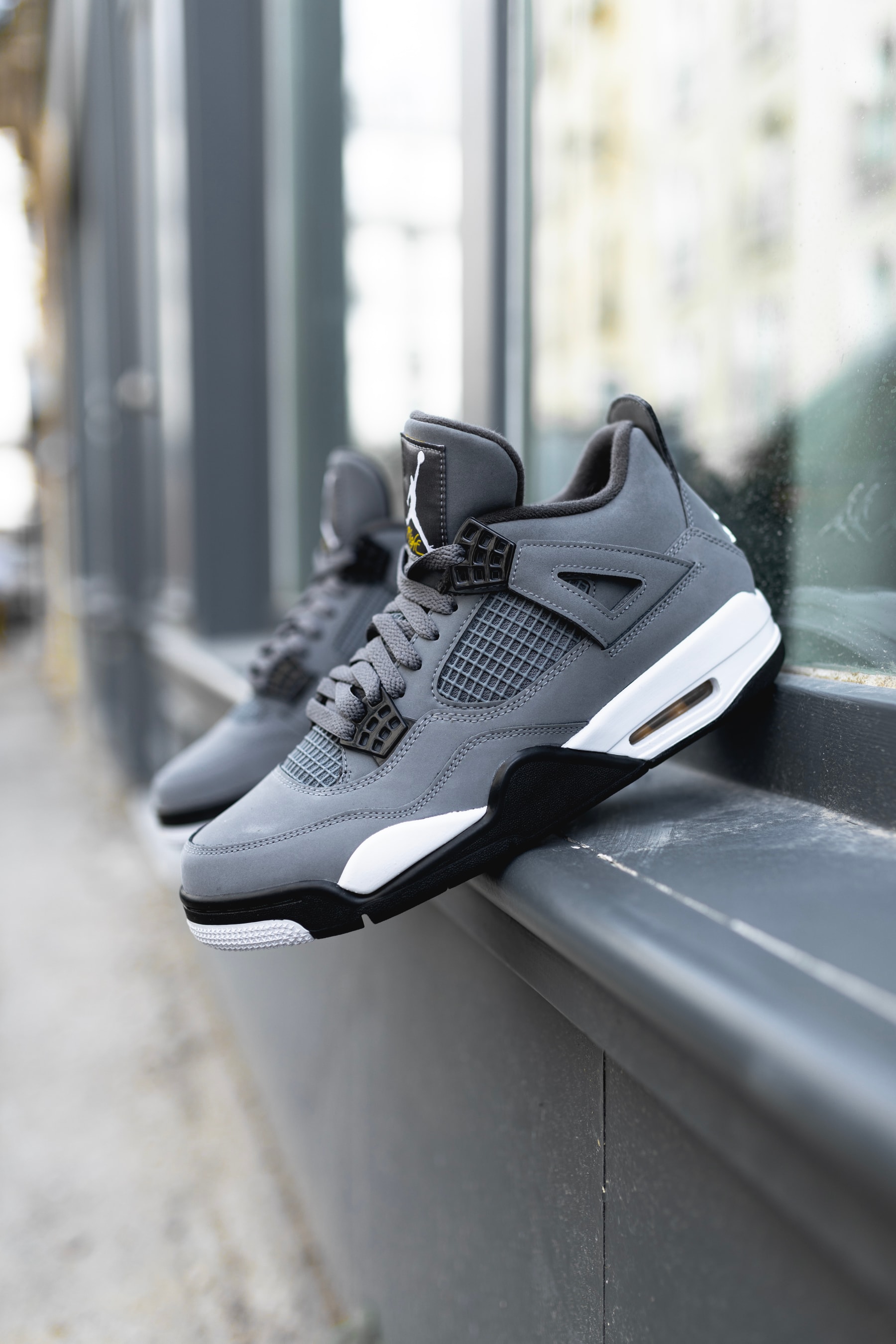 Photo Air Jordan 4 "Cool Grey"