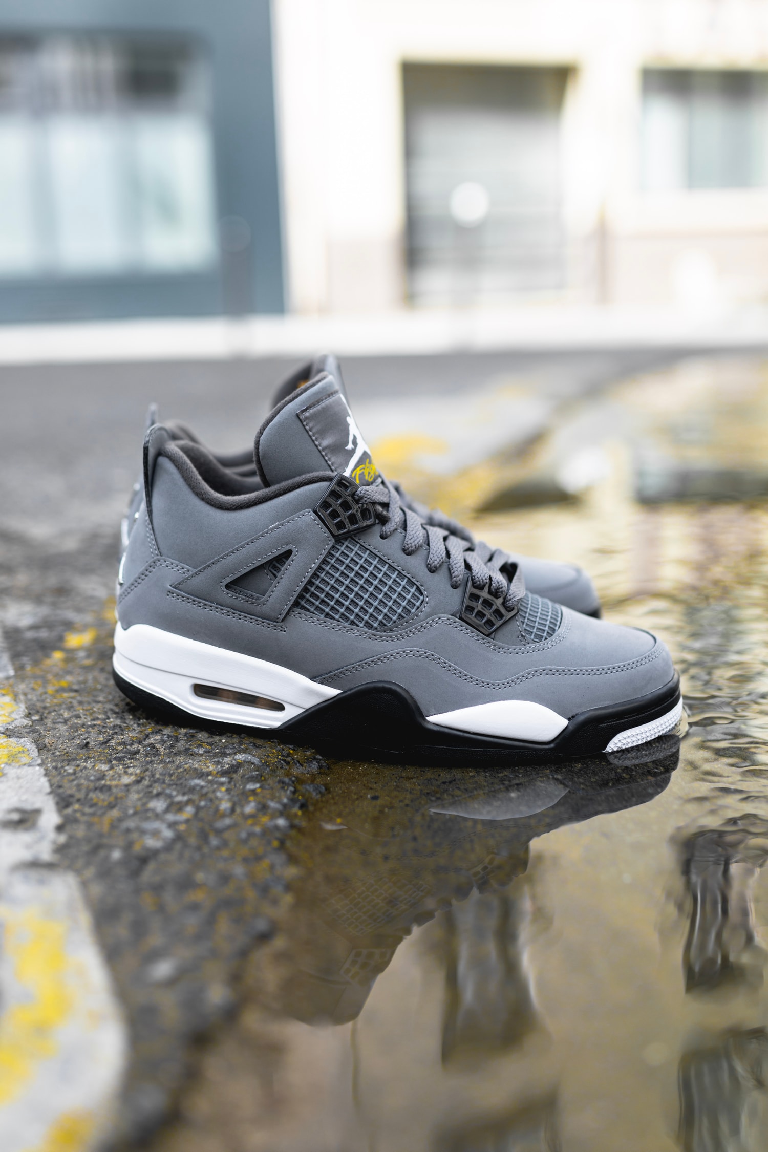 Photo Air Jordan 4 "Cool Grey"