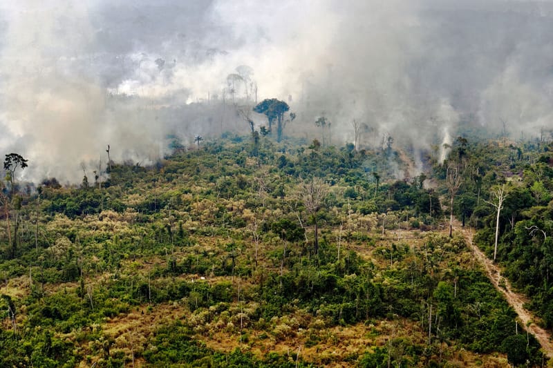 LVMH annonce un don de 10 millions d'euros pour lutter contre les incendies en Amazonie