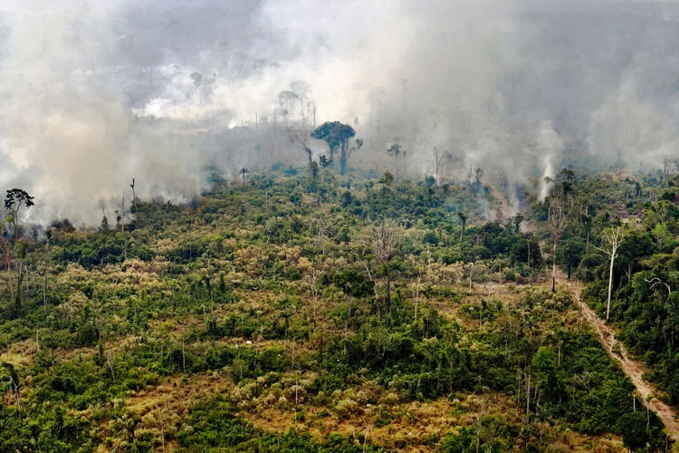 LVMH annonce un don de 10 millions d'euros pour lutter contre les incendies en Amazonie