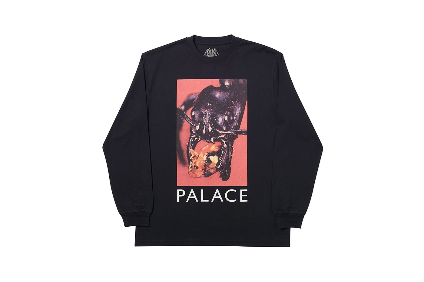 Palace Automne/Hiver 2019 : Toutes les pièces et accessoires de la nouvelle collection