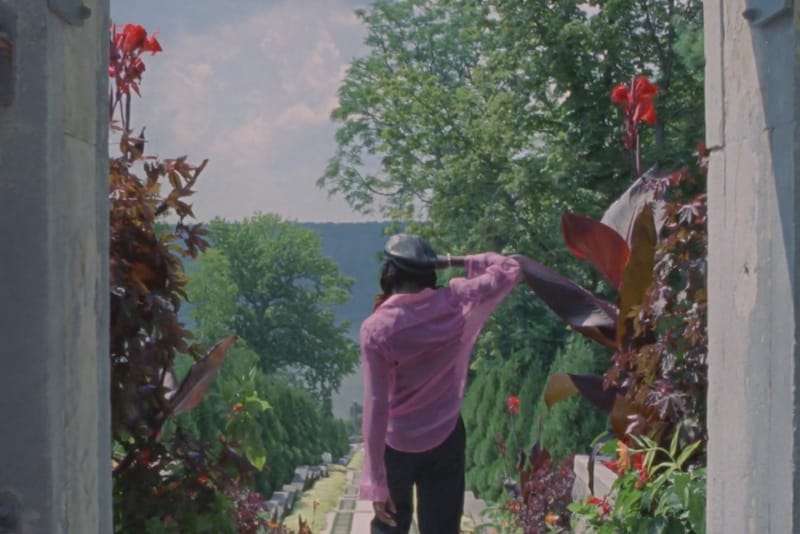 10 clips qu'on a aimés cette semaine