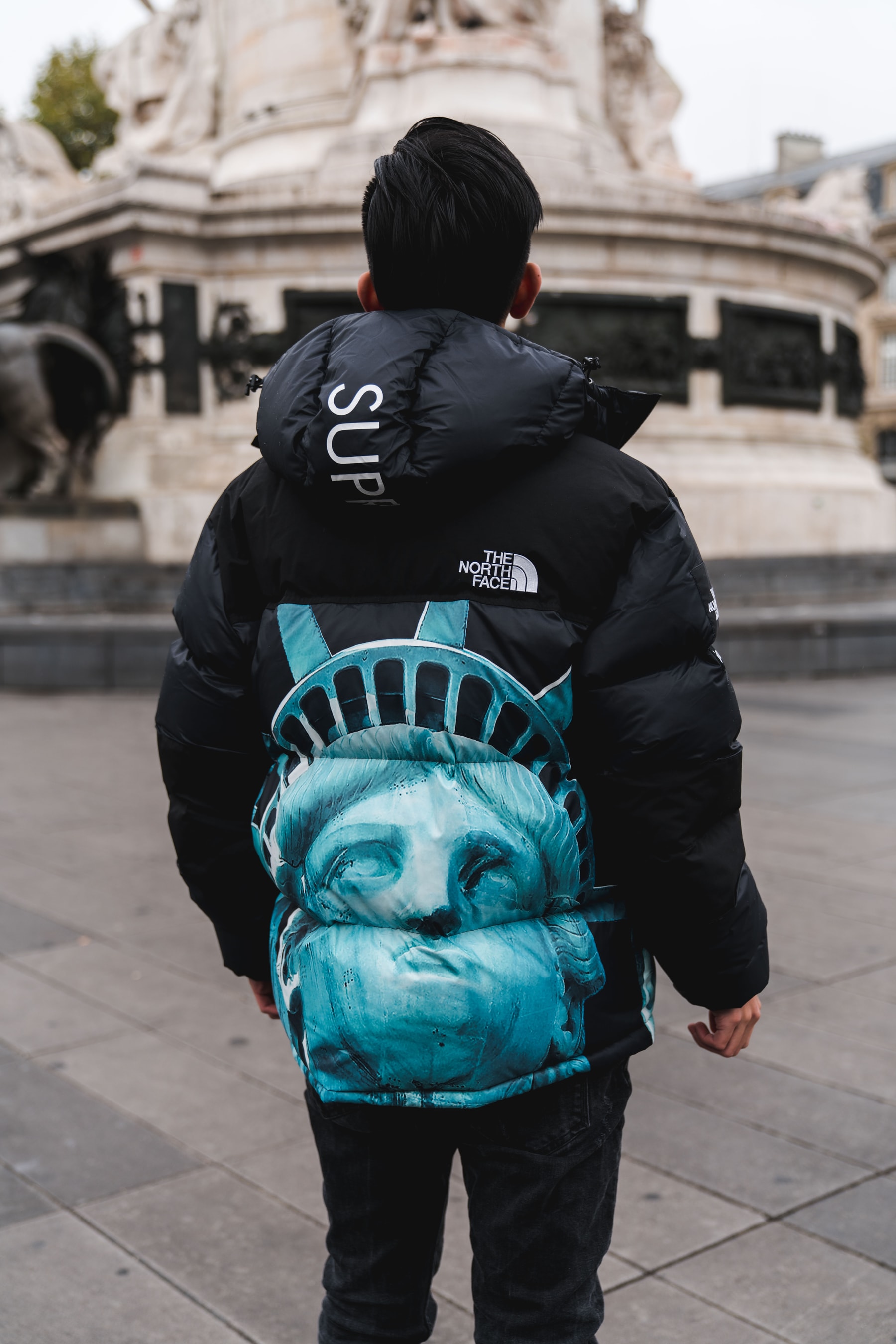 Photos Supreme x The North Face