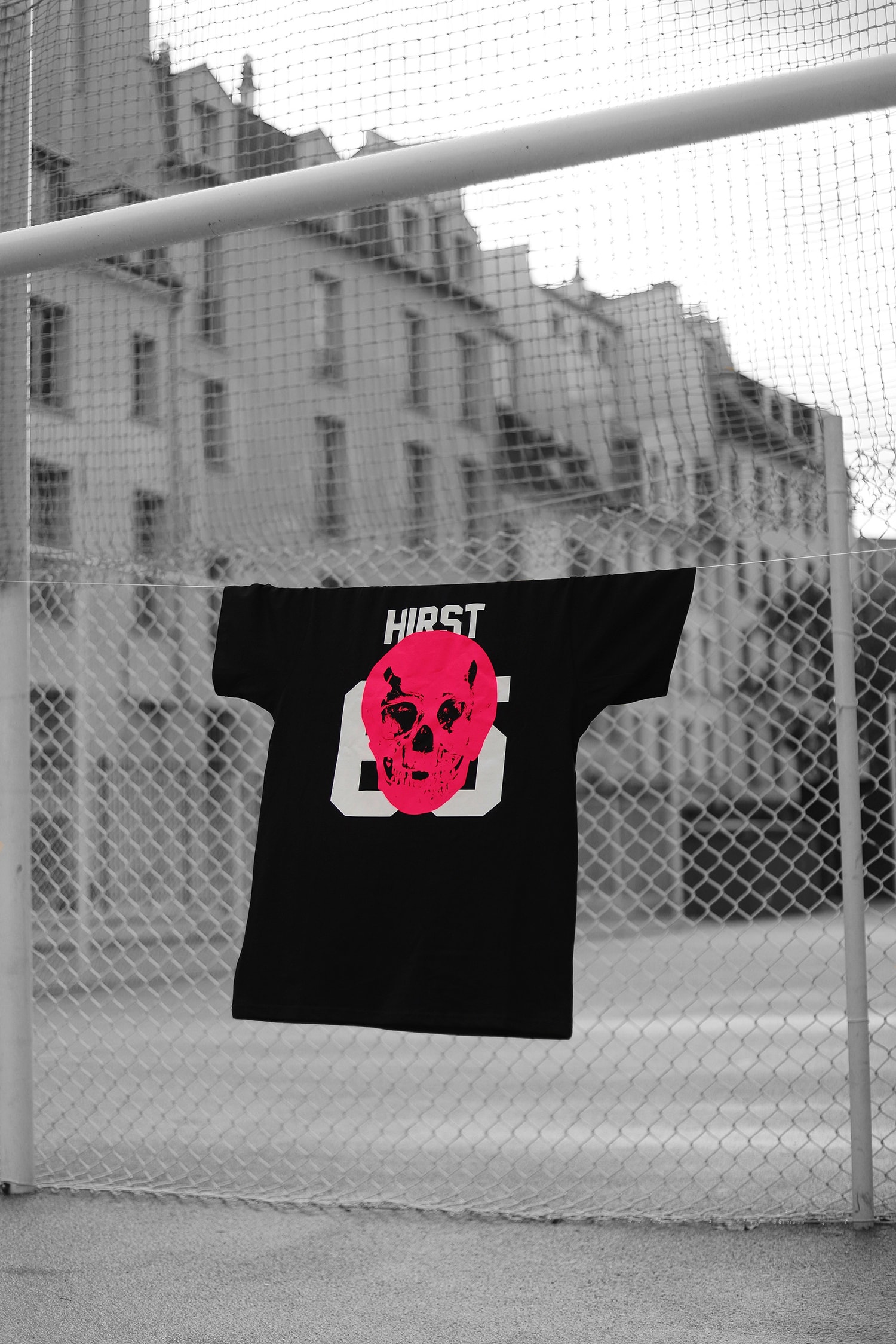LES (ART)iSTS Damien Hirst collection