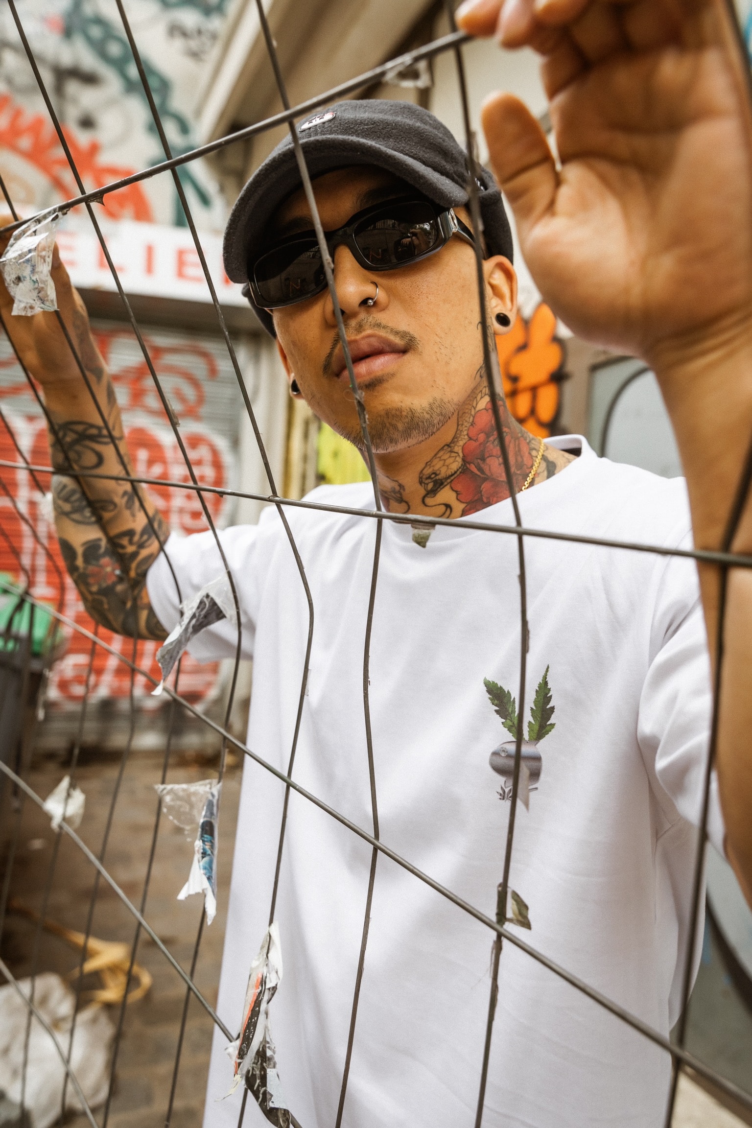 Tealer