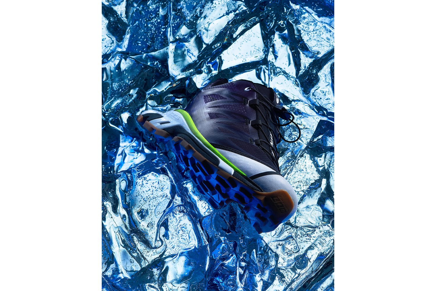 AVNIER Salomon collaboration