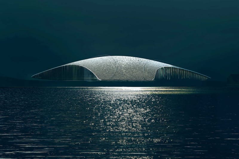 Photos - Plongez dans "The Whale", monumental bâtiment en forme de baleine qui permettra d'observer les cétacés