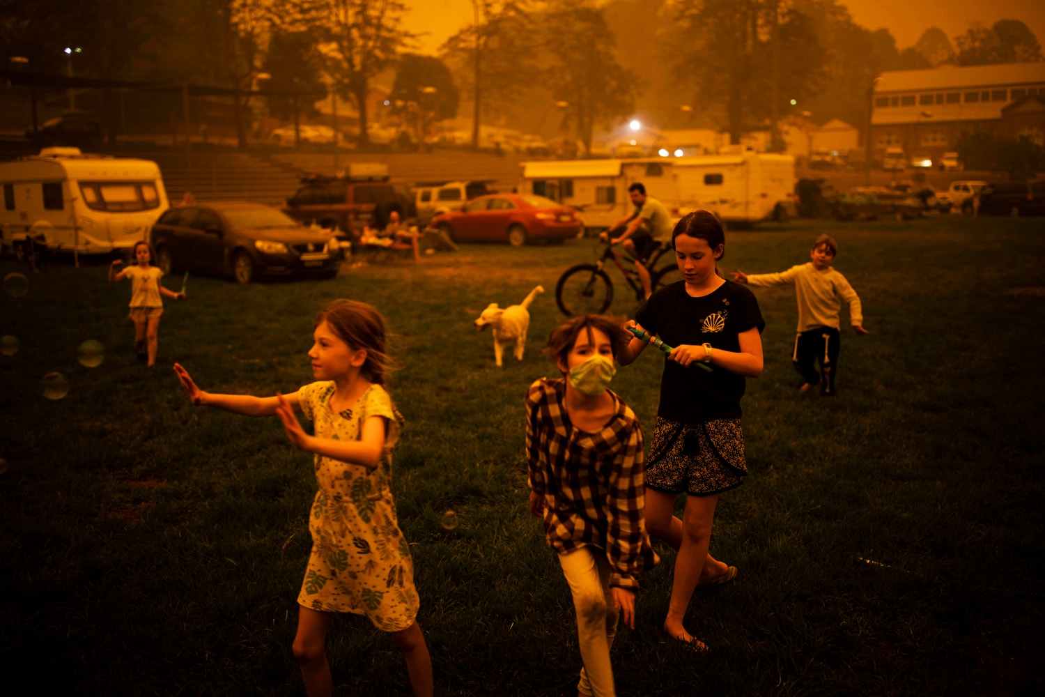 Photos World Press Photo 2020