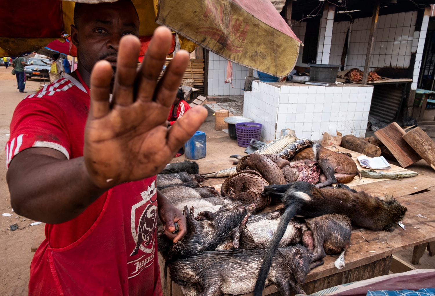 Photos World Press Photo 2020