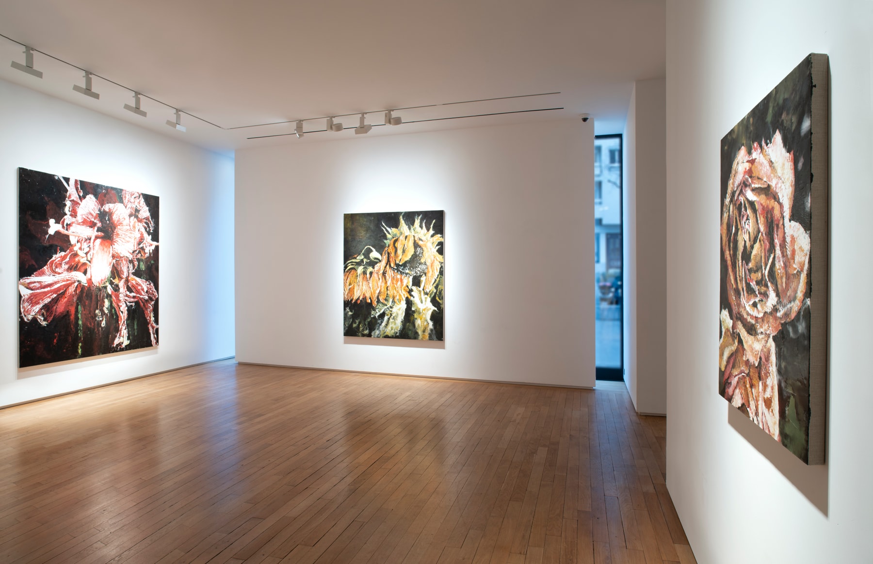 Le peintre Philippe Cognée se questionne sur la relation végétale et animale dans son exposition à la Galerie Templon