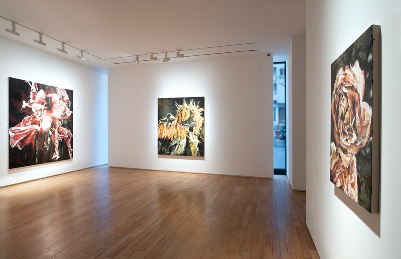 Le peintre Philippe Cognée se questionne sur la relation végétale et animale dans son exposition à la Galerie Templon