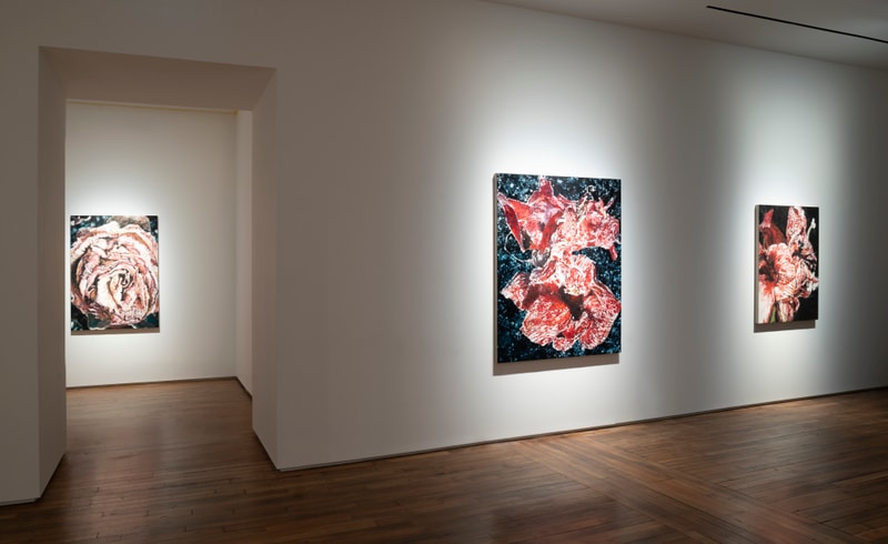 Le peintre Philippe Cognée se questionne sur la relation végétale et animale dans son exposition à la Galerie Templon