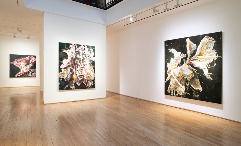 Le peintre Philippe Cognée se questionne sur la relation végétale et animale dans son exposition à la Galerie Templon