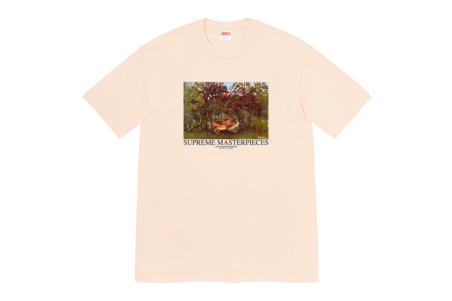 Photo Supreme premier drop Printemps/Été 2020
