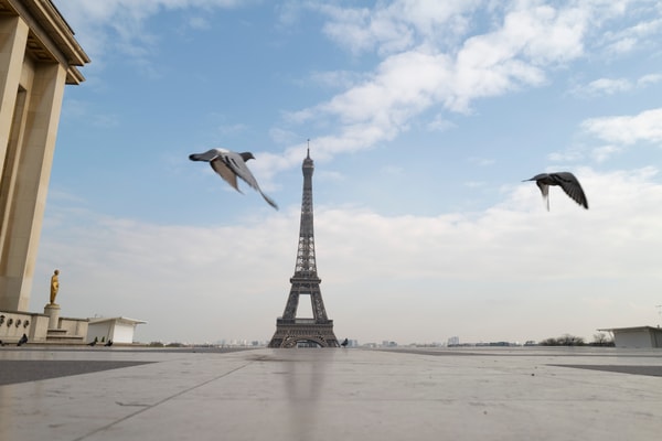 Paris entièrement vide en 10 photos