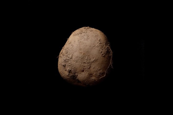 potato photo million euros Kevin Abosch
