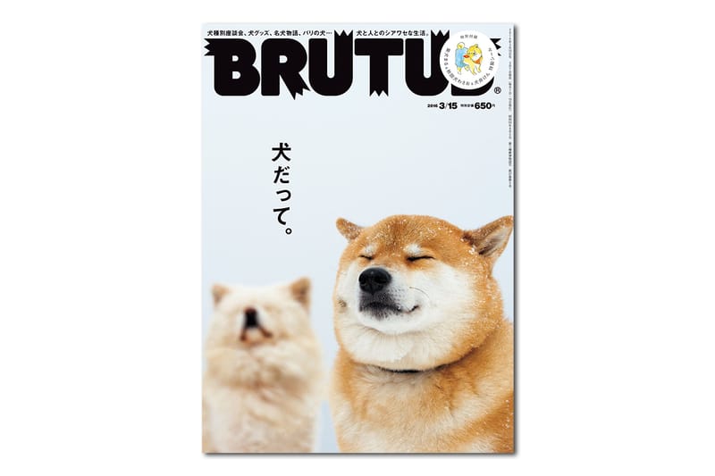 《BRUTUS》發佈第 819 期「寵物狗」主題刊物