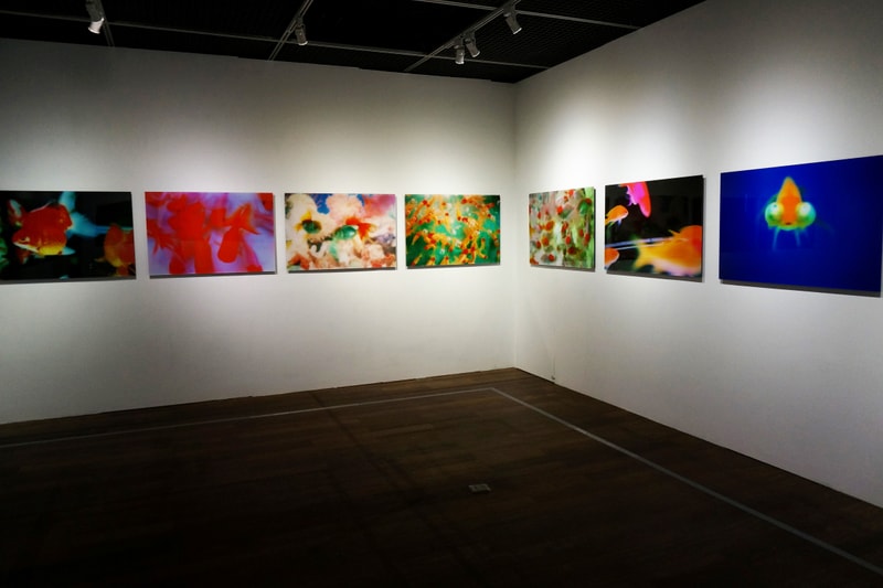 mika ninagawa exhibition taiwan