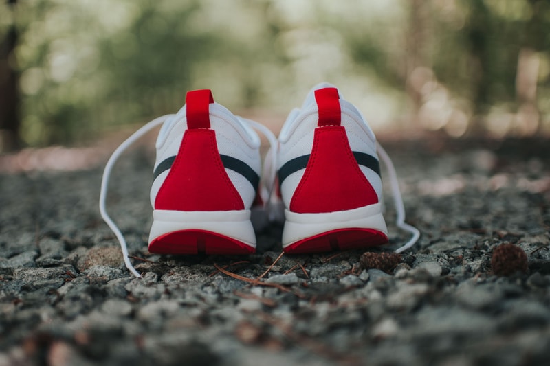 Nike SB Trainerendor 全新配色設計