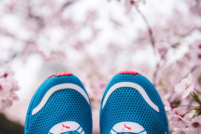 PUMA Speed 300 DISC 