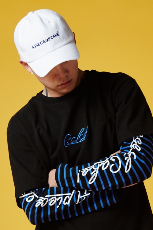 a piece of cake 2016 ss lookbook