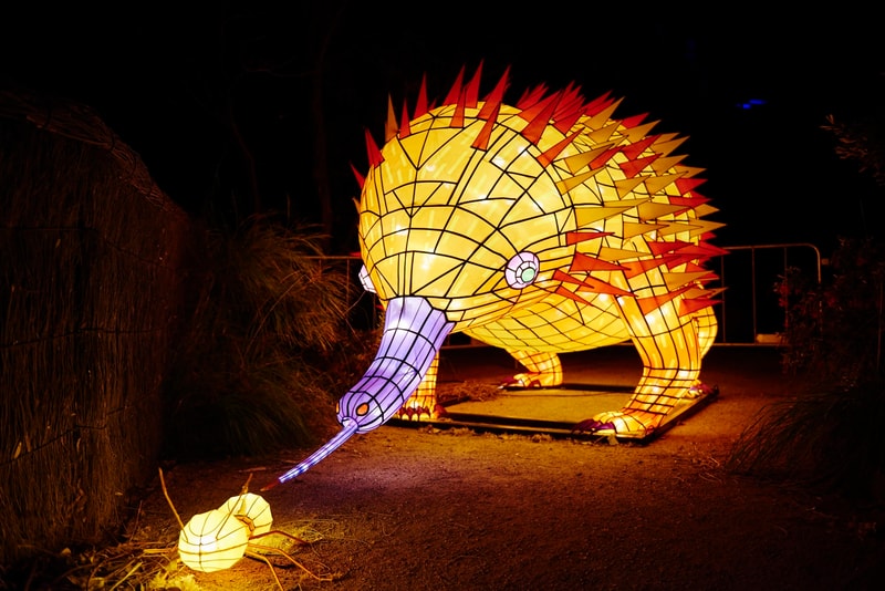 2016 年 Vivid Sydney「光影」藝術節華麗開啟